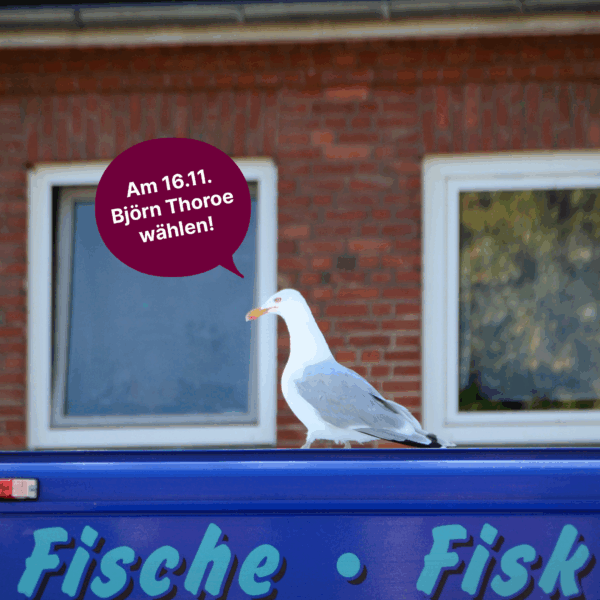 Eine Möwe auf einem Marktstand, der Fisch verkauft. Der Möwe ist eine Sprechblase beigegeben, in der steht: 