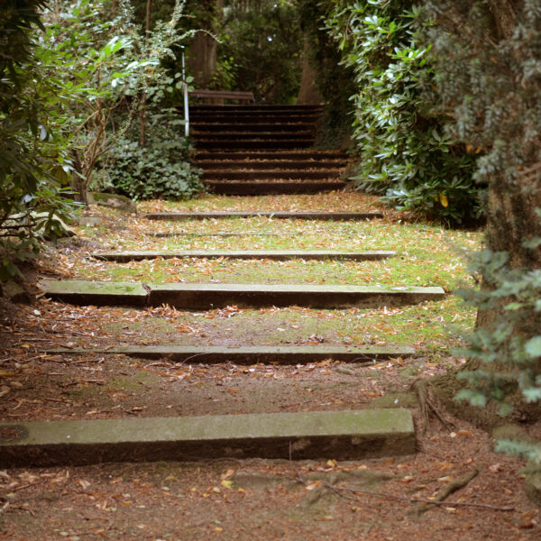 Die lange Treppe auf dem Kieler S&uuml;dfriedhof