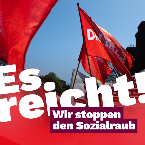 2026_09_20_DieLinke_Sozialproteste_Website Es reicht! Wir stoppen den Sozialraub. Dahinter ein Foto von Flaggen auf der 1.-Mai-Demo